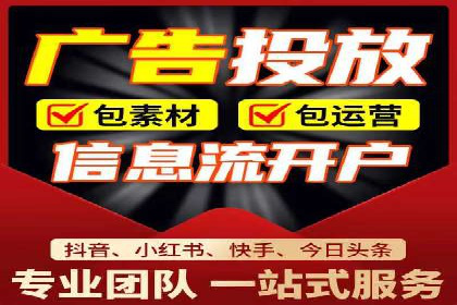 行业领先企业背后的信息流代运营案例