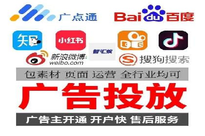 搜索引擎优化（SEO）与竞价广告（SEM）的对比案例